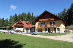Гостиница Alpengasthaus Gießlhütte, Вольфсберг